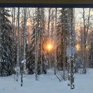 Meet your Posher, Starla